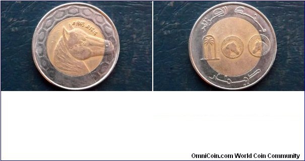 Algeria 100 Dinars KM# 132     1413-1992-AH1425-2004
Specifications

Composition: Bi-Metallic

Weight: 11.0000g

Diameter: 29.5mm
Design

Obverse: Denomination stylized with reverse design

Reverse: Horse head right

Edge Description: Reeded