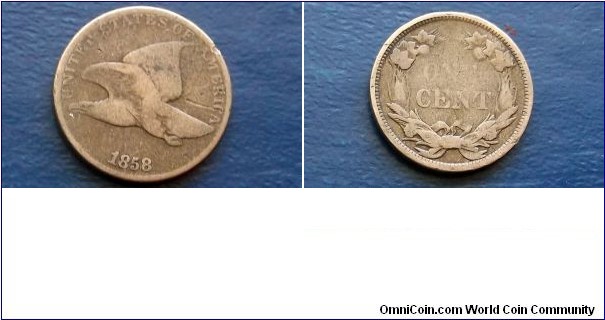 Scarce 1858 1C Flying Eagle Cent Very Nice Circ Large Letter Type Set Coin #Book  
Go Here:

http://stores.ebay.com/Mt-Hood-Coins

SOLD !!!!