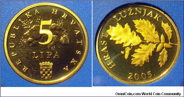 Croatia 5 lipa.
Proof from 2005 mint set. Mintage: 2.000 pieces.