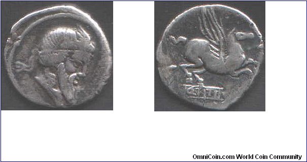 90 BC Roman Republic silver denarius. Obverse shows Mutinus Titinus (Priapus)with winged diadem. This Roman god of fertility is noted as being worshipped by young married women. Reverse shows Pegasus and Q Titi below.