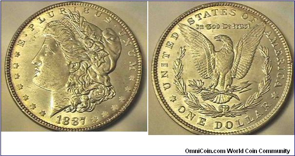 Morgan Silver Dollar, .900 Silver,.7736 oz ASW. MS-63