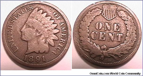 Indian Head Cent, Bronze, G-6