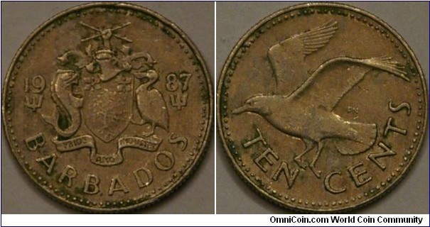 10 cents featuring a tern (bird), 18 mm, Cu-Ni