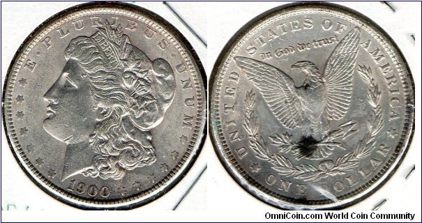 1900 Morgan Dollar
MS-60 Dark tone on tail-feather