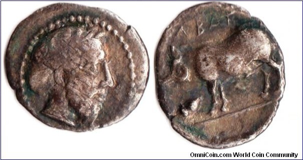 silver litra from the ancient Sikel town of Abacaenum (Abakainon) sited eight miles from the coasttowards the North East extremity of Sicily.
Obverse, head of Zeus laureate. Reverse Boar facing left with acorn below neck. Unusual obverse / reverse pairing which I can find no reference for. 