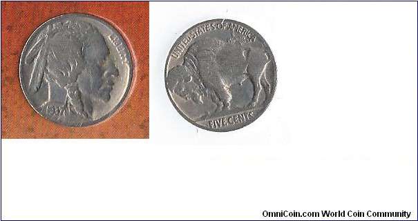 1913-1938 Buffalo Nickel