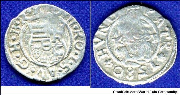 Denar.
Kingdom of Hungary.
Rudolf von Habsburg (1576-1608).
*KB* - Kremnitz mint.


Ag.
