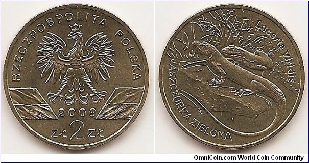 2 Zlote
Y#678
8.1500 g., Brass, 27 mm. Subject: Animals of the World Obv: An image of the eagle established as the  state emblem of the republic of Poland. Under the eagle, the notation of the year of issue: 2009, underneath, an inscription: ZŁ 2 ZŁ. The images of the national flag of the Republic of Poland on the sides of the Eagle’s legs. At the top, a semicircular inscription: rZeCZPosPolITA PolsKA. The Mint’s mark, M/W, under the Eagle’s left leg Rev: : In the centre, two lizards on a rock. Above, stylized images of plants.  On the left-hand side and at the bottom, a semicircular inscription: JASZCZURKA ZIELONA. At the top and on the right-hand side an inscription: lacerta viridis. Edge: an inscription:  NBP, repeated eight times, every second one inverted by 180 degrees, separated by stars. Obv. Designer: Ewa Tyc-Karpińska . Rev. Designer: Robert Kotowicz