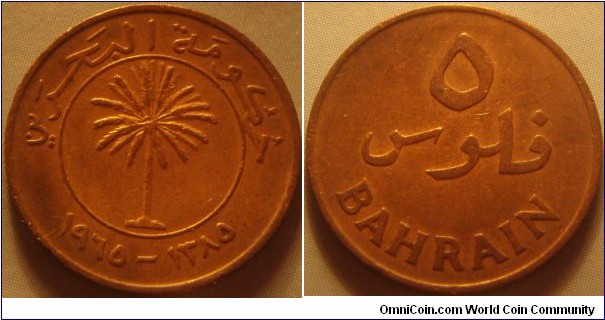 Bahrain | 
5 Fils, 1965 (1385) | 
18.5 mm, 2 gr. | 
Bronze | 

Obverse: Palm tree with Gregorian and Islamic date below | 
Lettering: حكومة البحرين (Bahrain's Government) ١٩٦٥ 
- ١٣٨٥ | 

Reverse: Denomination | 
Lettering: فلوس ٥ BAHRAIN |