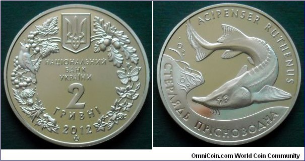 Ukraine 2 hryvnias.
2012, Sterlet (Acipenser Ruthenus)