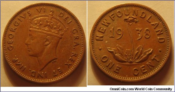 Newfoundland | 
1 Cent, 1938 | 
19.05 mm, 3.24 gr. | 
Bronze | 

Obverse: King George VI facing left | 
Lettering: GEORGIVS VI DEI GRA. REX ET IND. IMP. | 

Reverse: Purple pitcher plant divide date, denomination below | 
Lettering: • NEWFOUNDLAND • 1938 ONE CENT |