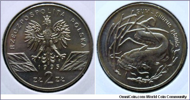 Poland 2 złote.
1995, Catfish (Silurus glanis)
Cu-ni.
Mintage: 300.000 pieces.