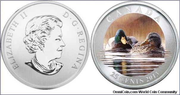 Canada, 25 cents, 2013 Ducks of Canada series, Mallard, coloured coin