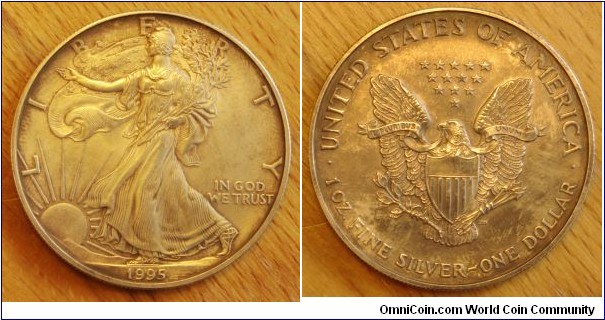 USA | 
1 Dollar, 1995 | 
40.6 mm, 31.1 gr. | 
Silver (.999) | 

Obverse: Walking Liberty, date below | 
Lettering: LIBERTY, IN GOD WE TRUST 1995 | 

Reverse: Heraldic eagle with shield, denomination below | 
Lettering: •UNITED STATES OF AMERICA• 1 OZ. FINE SILVER~1 DOLLAR |