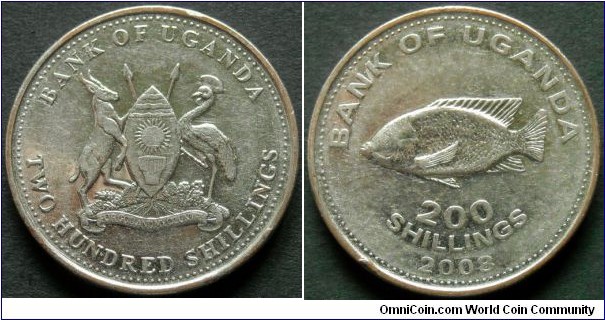 Uganda 200 shillings.
2008, Nickel plated steel.
Weight; 7,25g.
Diameter; 24,9mm.
KM#68a