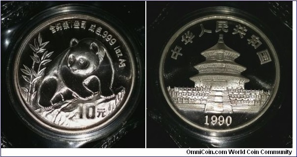 10 Yuan Silver Panda bullion coin