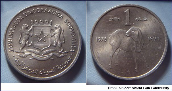 Somalia | 
1 Shilling, 1976 | 
25.2 mm, 6.22 gr. | 
Copper-nickel | 

Obverse: National Coat of Arms | 
Lettering: • JAMHURIYADDA DIMOQRAADIGA SOOMAALIYA • الجمهورية الديمقراطية الصومالية |

Reverse: Lamb, date above, denomination left and right | 
Lettering: shillin 1 شلن
1976 ١٩٧٦ |