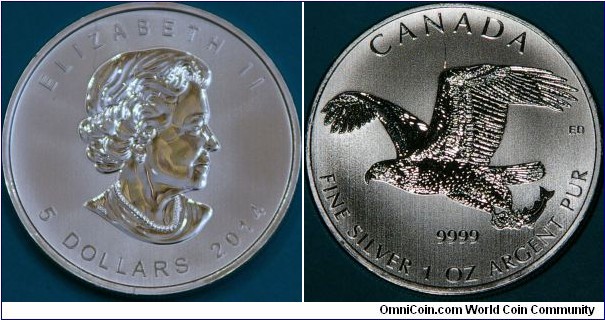 Bald Eagle with fish, 1 oz silver bullion coin. 38 mm