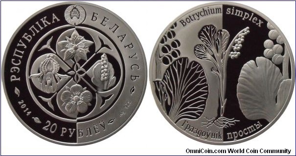 20 Rubles - Botrychium Simplex - 33.63 g 0.925 silver Proof - mintage 1,000