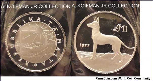 KM-45, 1977 Malta pound; proof, silver, reeded edge; ancient Maltese hunting dog, small mintage of 2,500, in original mint cell part of the 3 coin set, bright gem uncirculated.