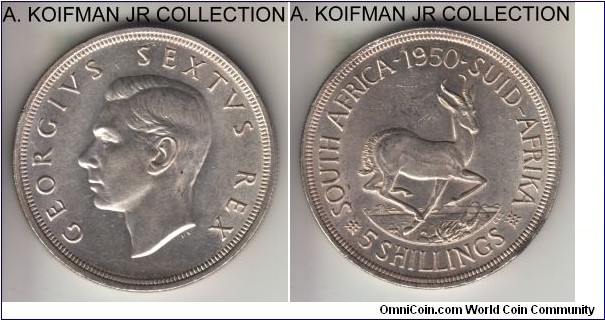 KM-40.1, 1950 South Africa (Dominion) 5 shillings; silver, reeded edge; George VI, last of the 800 finess mintage, scarce with mintage of 83,000 in circulation strike, borderline uncirculated, some chatter on the fields on reverse.