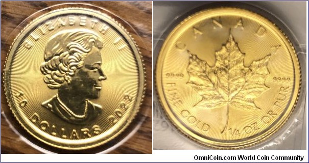 2022 $10 maple leaf
1/4 oz gold bullion