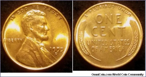 1955 D Lincoln wheat cent.