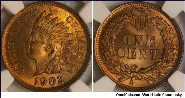 NGC MS64RD 1902 Indian cent