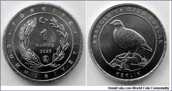 Turkey 1 kurus.
2020, Birds of Anatolia - Chukar partridge