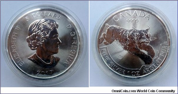 Canada 5 dollars.
2017, Predator series - Leaping lynx. Silver bullion coinage. 31.1g Ag 999.