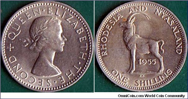 Rhodesia & Nyasaland 1955 1 Shilling.