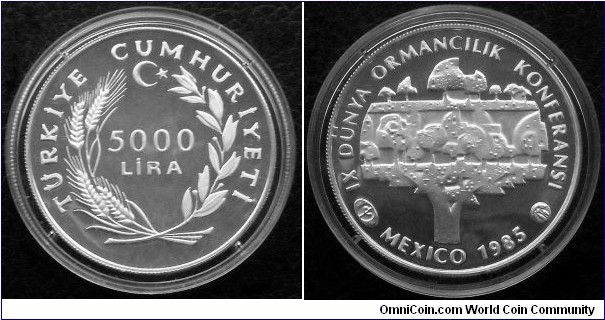 Turkey 5000 lira. 1985, 9th World Forestry Conference - Mexico 1985. Ag 925. Weight; 23,33g. Diameter; 38,61mm. Proof. Mintage: 2.000 (Krause) or 3.013 according to Numista.