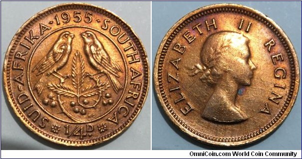 1/4 Penny (Union of South Africa / Queen Elizabeth II // Bronze 2.83g)