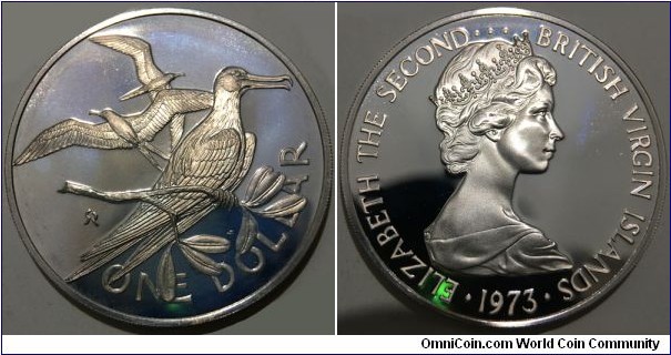 1 Dollar (Virgin Islands - British Overseas Territory / Queen Elizabeth II // SILVER 0.925 / 25.7g / ⌀38.61mm / Mintage: 181.000 pcs / PROOF)
