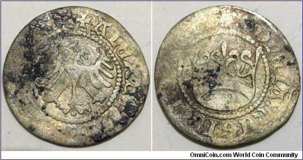 1 Polgrosz / ½ Grosz (Kingdom of Poland / King Sigismund I the Old // SILVER 0.375 / 1g / ⌀19mm / Minted 1506-1548) 