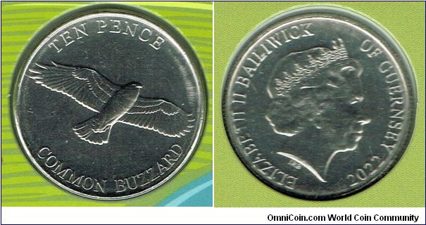 10 pence 2022 - Common Buzzard