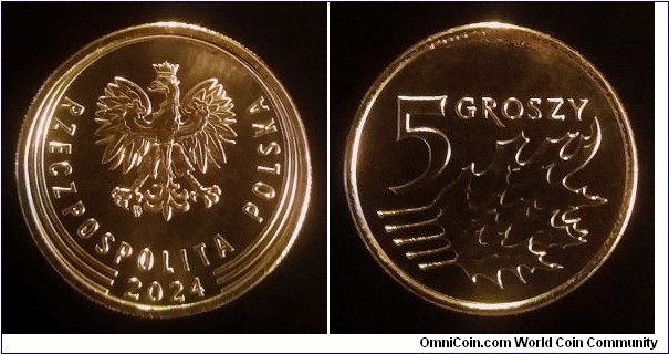 Poland 5 groszy. 2024