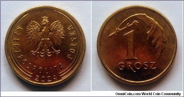 Poland 1 grosz. 2024