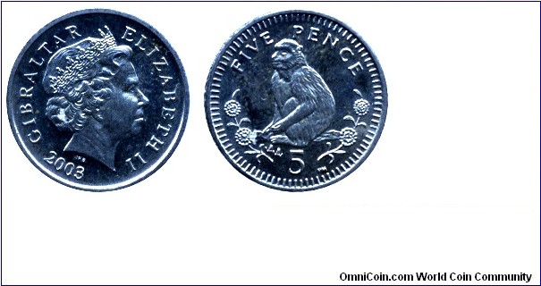 Gibraltar, 5 pence, 2003, Gibraltar monkey, the only native monkey in Europe, on it.                                                                                                                                                                                                                                                                                                                                                                                                                                