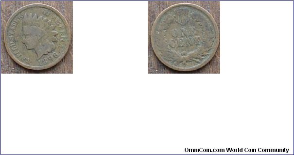 Another 1896 Indian Head Penny
