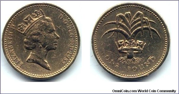 Great Britain, 1 pound 1985.
Queen Elizabeth II. Welsh Leek.