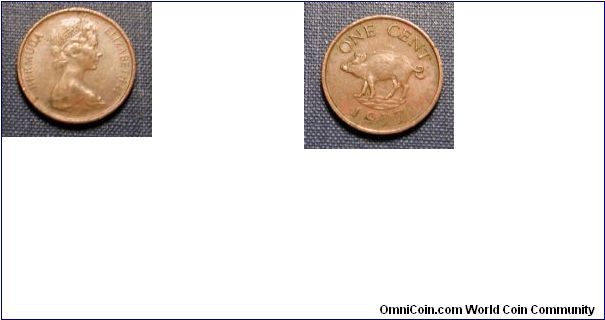 1977 Bermuda Cent