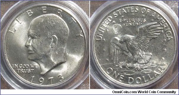 A 1973 Ike Dollar PCGS Grade MS64
most of the marks in the picture are on the holder.