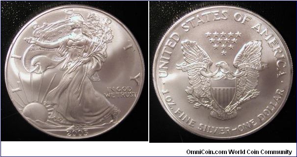2005 Silver American Eagle