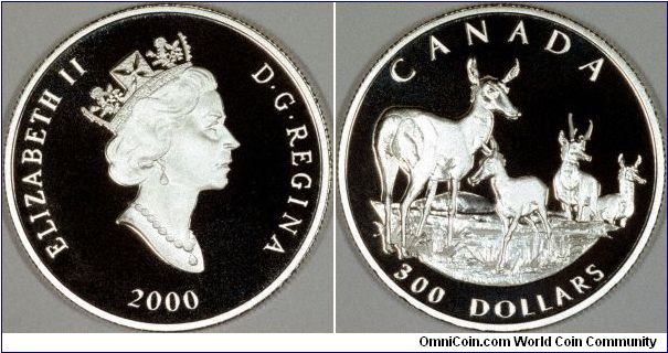 One ounce platinum proof $300 coin from the wildlife proof set now produced annually by the Royal Canadian Mint, highlighting a different North American wild animal each year. All 4 coin designs are also different in each set.
This is the Pronghorn Antelope.