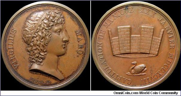 Capitulation de Mantoue, France.

A medal commemorating the capitulation of the city of Mantua in northern Italy to the French. The poet Virgil was born there and the castle walls and swan are also symbolic of the city.                                                                                                                                                                                                                                                                                       