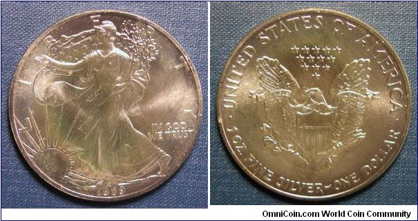 1989 Silver American Eagle (Green/Brown toned)