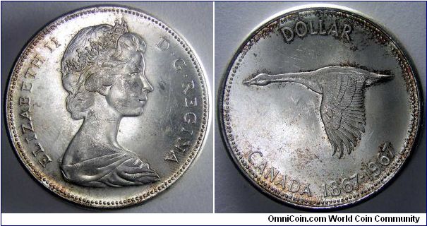 Centennial Dollar.                                                                                                                                                                                                                                                                                                                                                                                                                                                                                                  