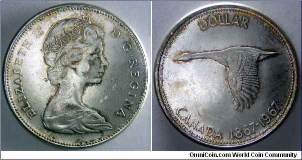 Centennial dollar.                                                                                                                                                                                                                                                                                                                                                                                                                                                                                                  