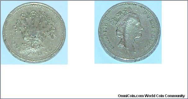 1 Pound. QE II. Error.